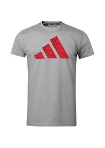 adidas Performance , T-Shirt »Perfo Script Graphic Tee« , grau