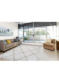 Teppich »Viteox 210«, rechteckig, 13 mm Höhe, Viskose, Kurzflor, Wohnzimmer , grau , Calo-deluxe