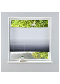 my home, my home Plissee &raquo;Ombr&eacute;&laquo; Lichtschutz ohne Bohren verspannt Fixmass, Farbverlauf, Klemmtr&auml;ger, silberfarben, Obermaterial: 100% Polyester