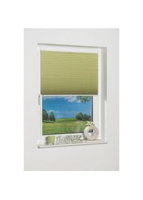 K-home, K-home Plissee &raquo;Klemmfix Pisa&laquo; verdunkelnd energiesparend ohne Bohren verspannt, gr&uuml;n, Obermaterial: 100% Polyester