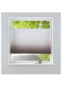 Plissee »Ombré«, Lichtschutz, ohne Bohren, verspannt, Fixmass, Farbverlauf, Klemmträger , grau , my home