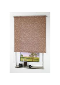 Liedeco, Seitenzugrollo »Dekor Wolken« Lichtschutz freihängend Seitenzugrollo Dekor Wolken, mokka, Polyester