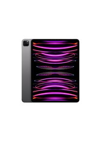 Apple , iPad Pro 3. Gen. (2022) 12,9 Zoll, Space Grau , grau
