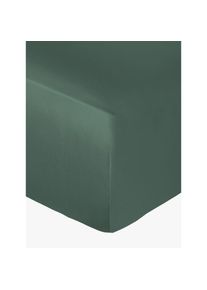 Globus Drap housse Tada emeraude
