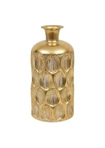Vase Belli JJA