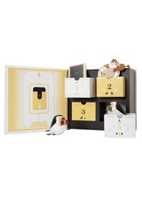 Zuny Weihnachtsgeschenkbox Limited Edition Z&uuml;ny EINZELST&Uuml;CK