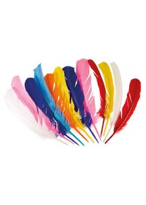 Boland 12 piume indiane colorate