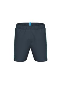 arena, Hommes Boardshorts 'Fundamentals Logo Boxer', gris foncé / jade