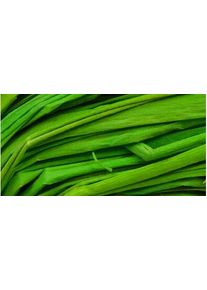 Naturbast Raffia hellgrün 50g