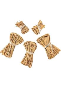 mottoland Spaventapasseri Wizard of Oz set 5 pezzi