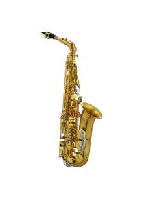 Jupiter Stellar Alto Sax Altsaxophon