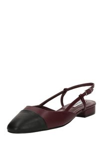 Steve Madden Ballerina 'BELINDA' Damen, weinrot / schwarz, Gr&ouml;&szlig;e 40