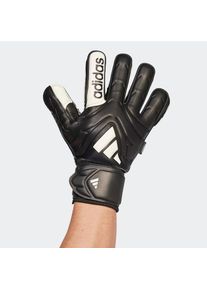 adidas Performance , Damen , Torwarthandschuhe »COPA GL MTC FS« , schwarz-weiss , Torwarthandschuhe von adidas
