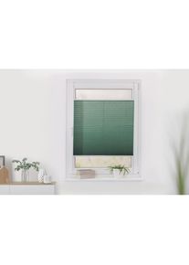 LICHTBLICK Original, LICHTBLICK ORIGINAL Plissee &raquo;Klemmfix&laquo; Lichtschutz ohne Bohren verspannt Faltenstore, salbei, wei&szlig;, wei&szlig;