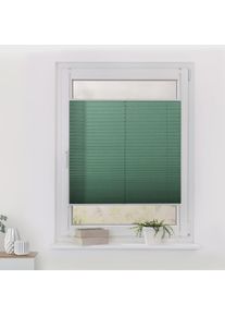 LICHTBLICK Original, LICHTBLICK ORIGINAL Plissee »Klemmfix« Lichtschutz ohne Bohren verspannt Faltenstore, salbei, weiß, weiß