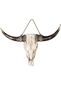 Wanddekoobjekt »Wandobjekt Büffel Büffel braun; weiss H. 24 cm«, (1 St.) , braun , Casablanca by Gilde