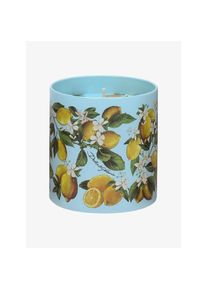 Dolce Gabbana Casa Duftkerze Lemon