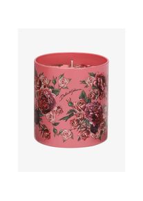 Dolce Gabbana Casa Duftkerze Musk Rose