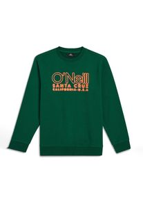 O`Neill O'neill Sweatshirt Jungen Gr&ouml;&szlig;e 128 gr&uuml;n / orange