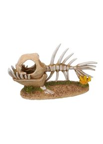 Aquariendeko »Monsterfisch Skelett, 45526 x 45420 x 13 cm« , braun , Nobby