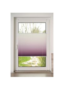 K-home, K-home Plissee &raquo;Farbverlauf Sunrise&laquo; Lichtschutz ohne Bohren verspannt, bordeaux, wei&szlig;, Obermaterial: 100% Polyester