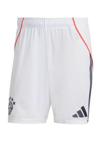 adidas Performance, Hommes Pantalon de sport 'FC Bayern 25/26 Away', gris basalte / rouge / blanc