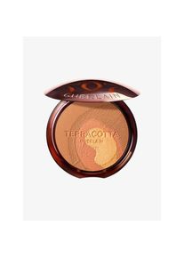 Guerlain Terracotta Peacock The Bronzing Powder Limited Edition