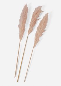 Kunstpflanze Pampasgras (3er Pack) in beige, 92 cm, bonprix