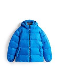 Tommy Jeans, Hommes Veste d&rsquo;hiver 'Essential', azur