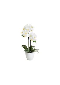 Kunstblume »Phalenopsis Topf 2 Rispen« , weiss , Botanic-Haus