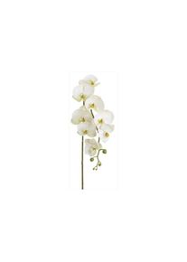 Kunstblume »Phalenopsis 3er Set« , weiss , Botanic-Haus