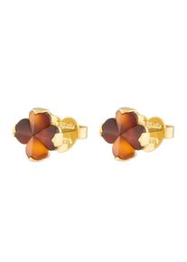 Kate Spade, Femmes Boucles d'oreilles, marron / or