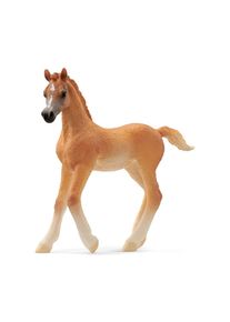 schleich Horse Club Araber Fohlen 8cm