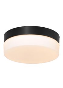 Steinhauer Ikaro Deckenleuchte LED Schwarz, 1-flammig