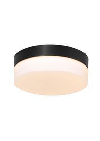 Steinhauer Ikaro Deckenleuchte LED Schwarz, 1-flammig