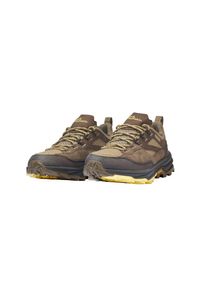 Jack Wolfskin , Wanderschuh »CYROX TEXAPORE LOW W«, Wasserdicht, Trekkingschuh , beige , Vielseitiger Wanderschuh von Jack Wolfskin mit Schnürung