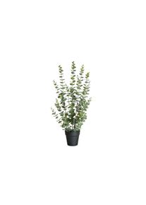 Kunstblume »Eukalyptus« , grün , Botanic-Haus