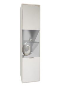 Mäusbacher Standvitrine ALPHA