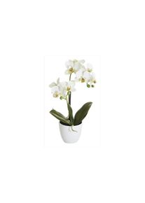 Kunstblume »Phalenopsis Topf 2 Rispen« , weiss , Botanic-Haus