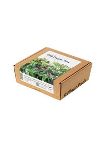 Click & grow Pflanzkapsel - Chili-Pfeffer-Mix (9-er Packung)