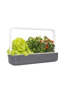 Click & Grow Smart Garden 9 - Indoor Kräutergarten (Farbe: weiss oder grau)