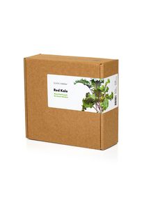 Click & grow Pflanzkapsel - Rotkohl (9-er Packung)