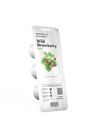 Click & grow Pflanzkapsel - Walderdbeere (3-er Packung)