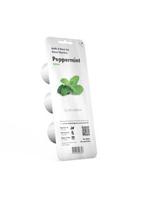 Click & grow Pflanzkapsel - Pfefferminz (3-er Packung)