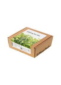 Click & grow Pflanzkapsel - Beruhigende Teemischung (9-er Packung)