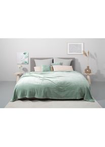 Tagesdecke »Desner3«, mit Cashmere-Touch, viele Farben erhältlich, Decke ab 140x210 cm , grün , my home