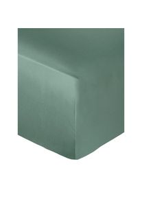 Globus Drap housse NUI emeraude