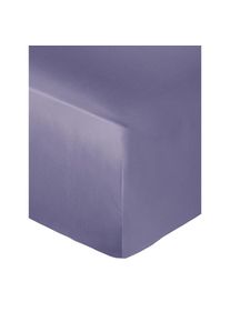 Globus Drap housse NUI mauve