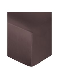Globus Drap housse NUI teck