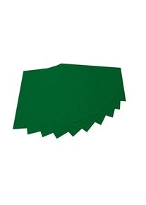 Bastelfilz 150g/m&sup2; tannengr&uuml;n 20x30cm 10 Blatt